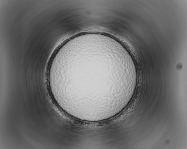 X0000099520990200806121458