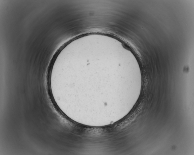 X0000099520991200806121458