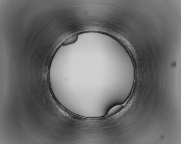 X0000099520993200806121458