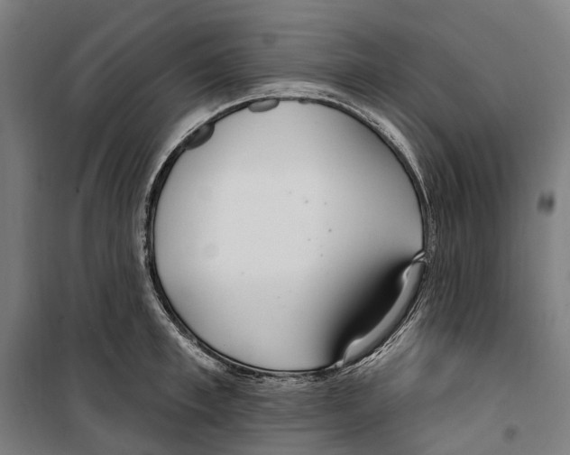 X0000099520997200806121458