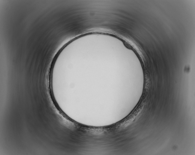 X0000099520999200806121458