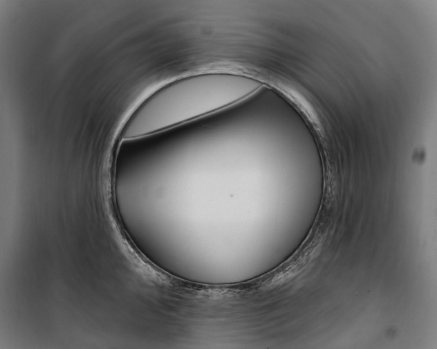 X0000099521000200806121458