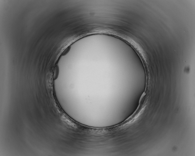 X0000099521001200806121458