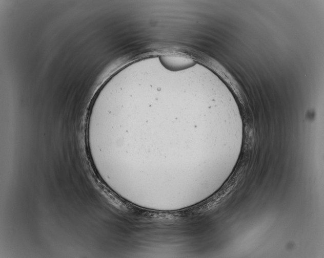 X0000099521002200806121458