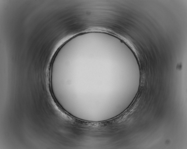 X0000099521003200806121458