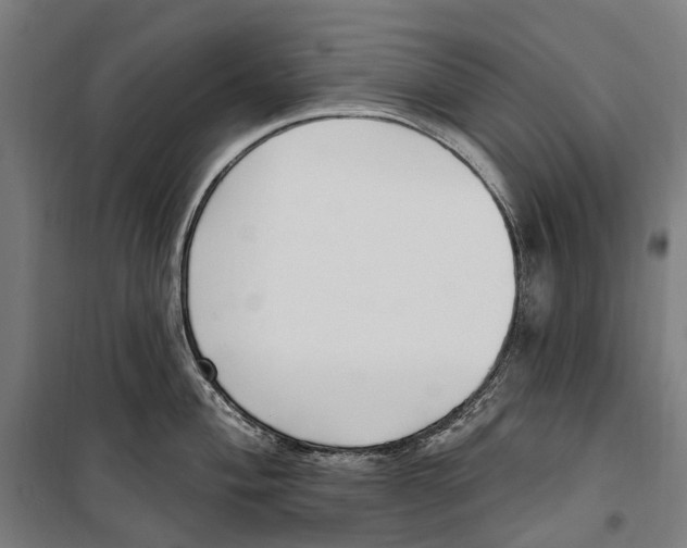 X0000099521004200806121458