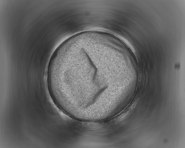 X0000099521007200806121458