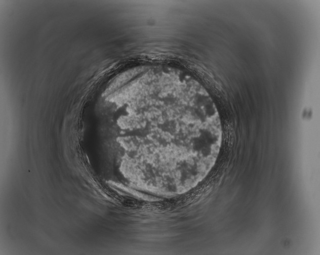 X0000099521009200806121457