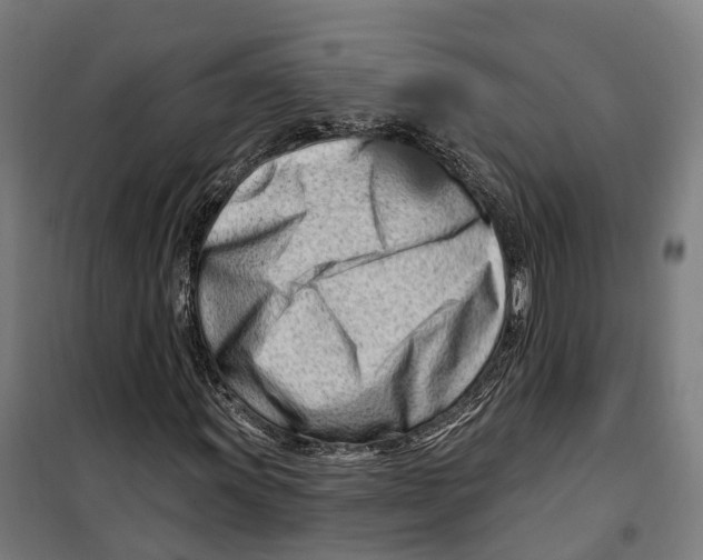 X0000099521011200806121457