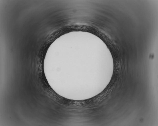 X0000099521013200806121457