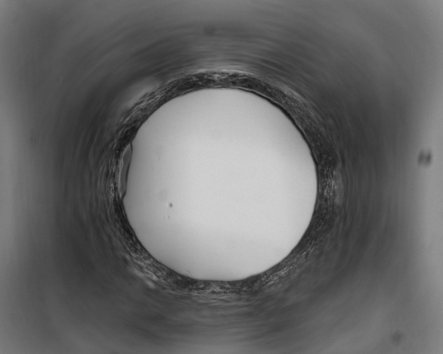 X0000099521014200806121457