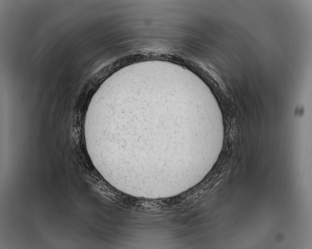 X0000099521015200806121457