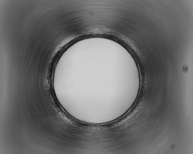 X0000099521018200806121457