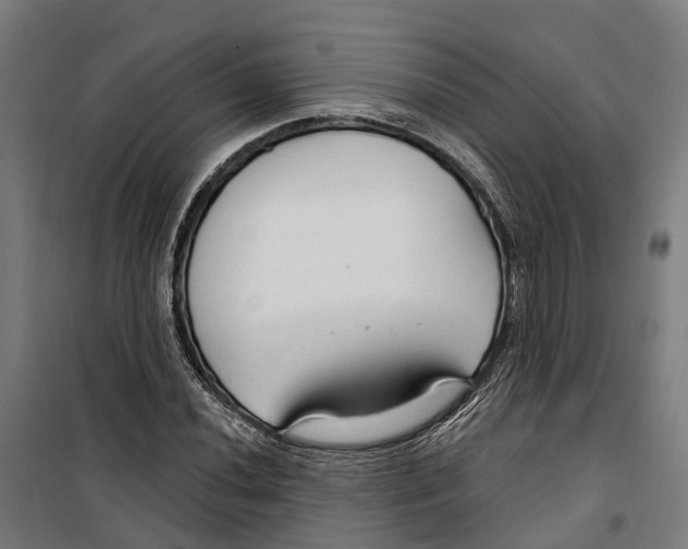 X0000099521020200806121457