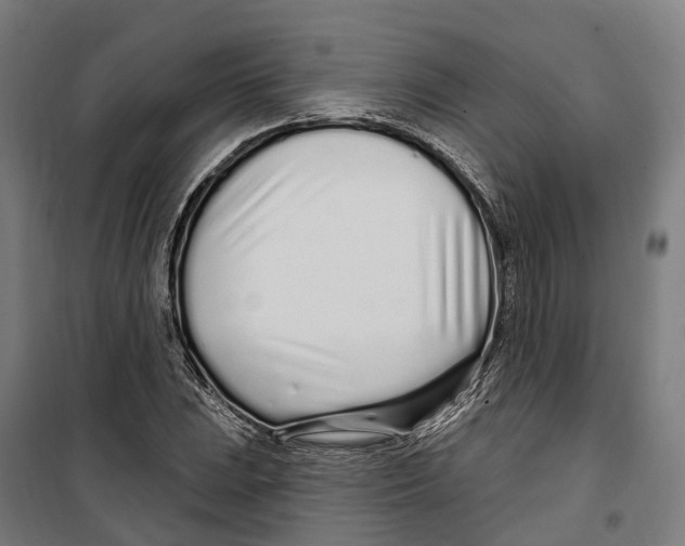 X0000099521023200806121457