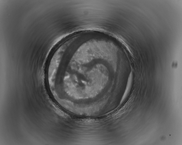 X0000099521024200806121457