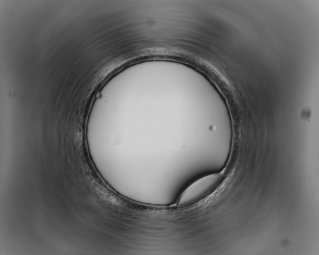 X0000099521025200806121457