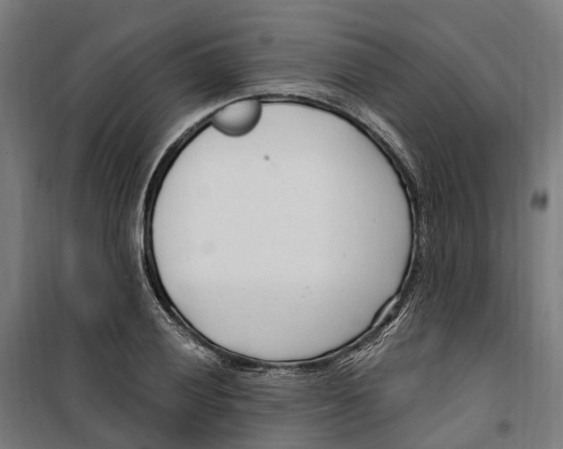 X0000099521028200806121457