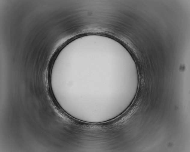 X0000099521030200806121457