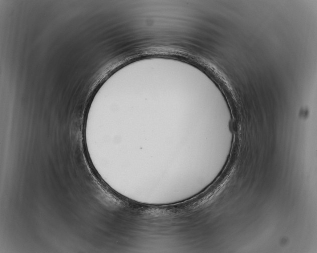 X0000099521033200806121457