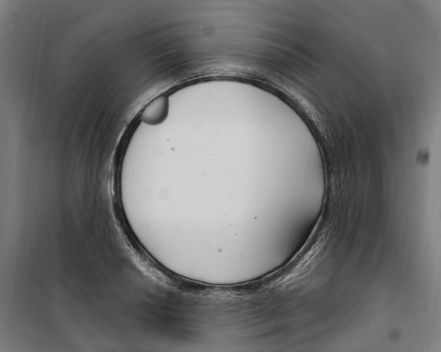 X0000099521034200806121457