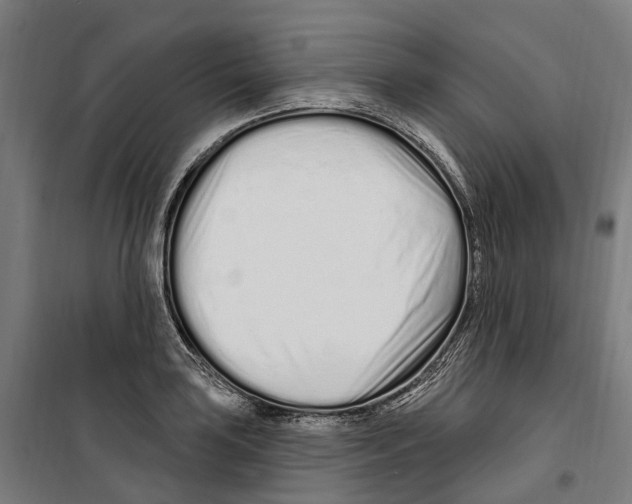 X0000099521035200806121457