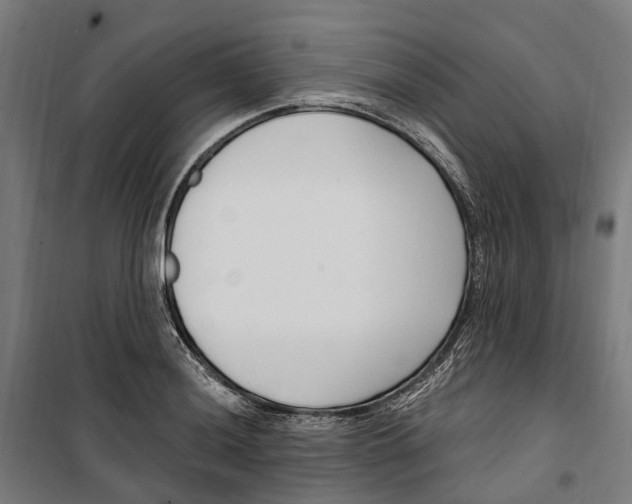 X0000099521036200806121457