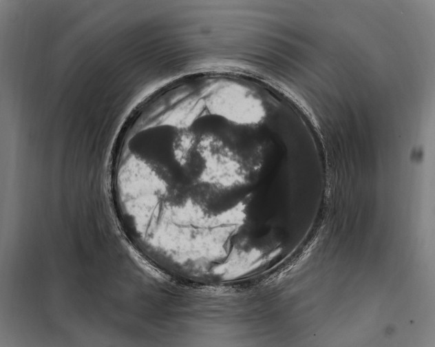 X0000099521037200806121457