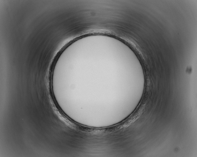 X0000099521038200806121457