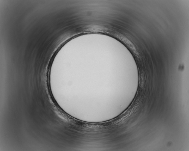 X0000099521039200806121457