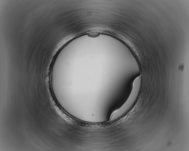 X0000099521042200806121458