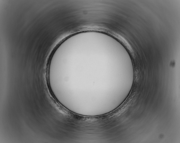 X0000099521043200806121458