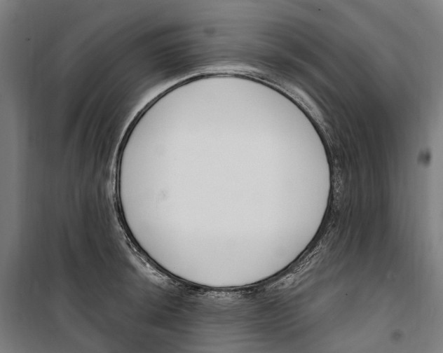 X0000099521044200806121458