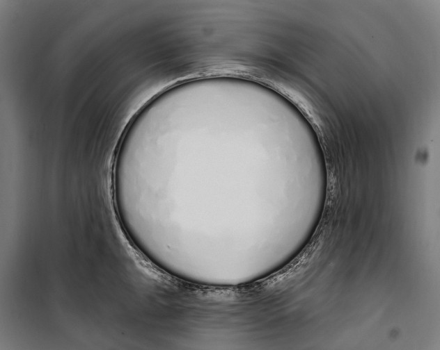 X0000099521047200806121458