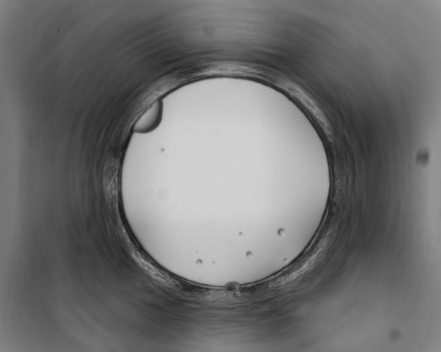 X0000099521049200806121458