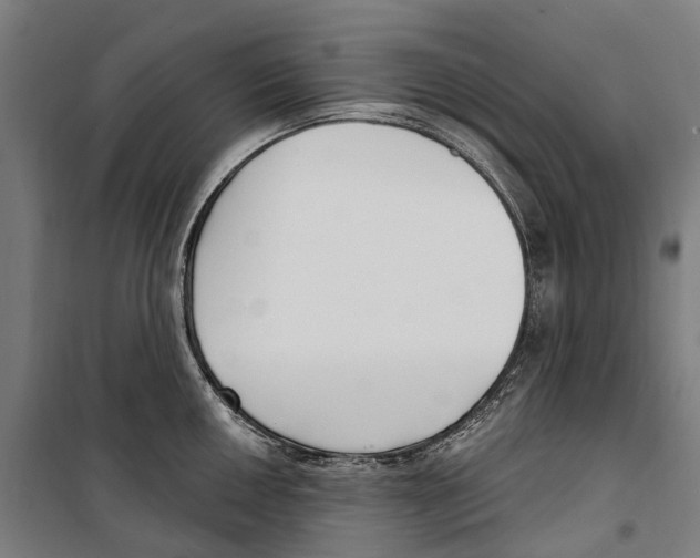 X0000099521050200806121458