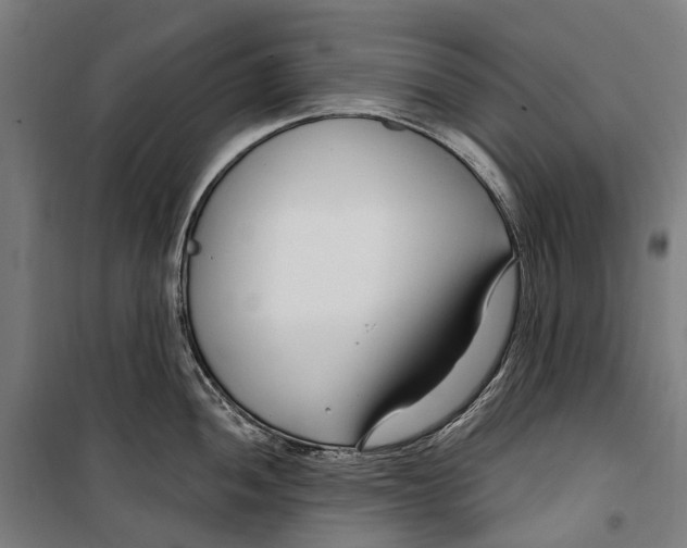 X0000099521052200806121458