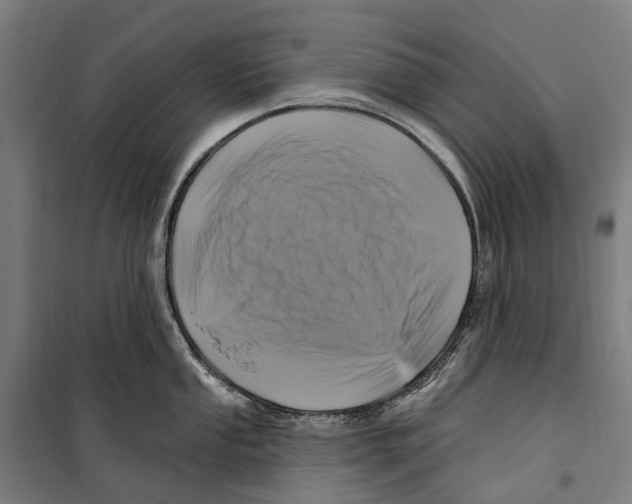 X0000099521053200806121458