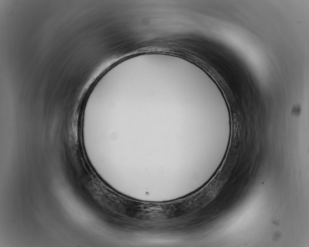 X0000099521054200806121458