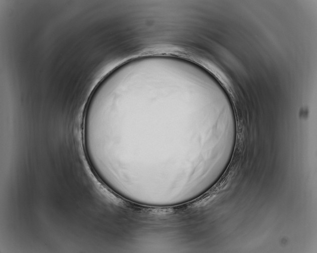 X0000099521055200806121458