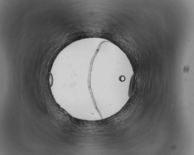 X0000099521057200806121457