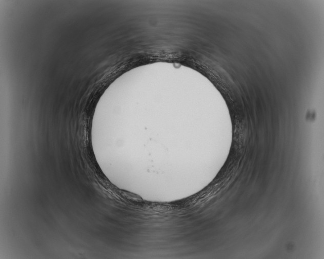 X0000099521058200806121457