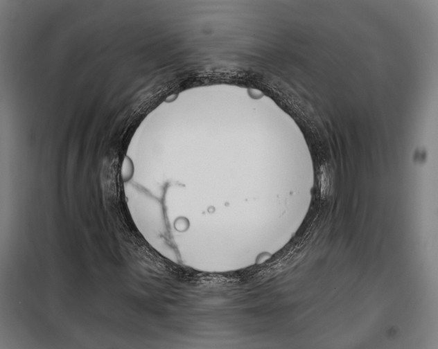 X0000099521059200806121457