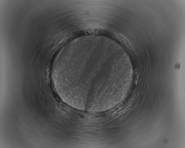 X0000099521060200806121457