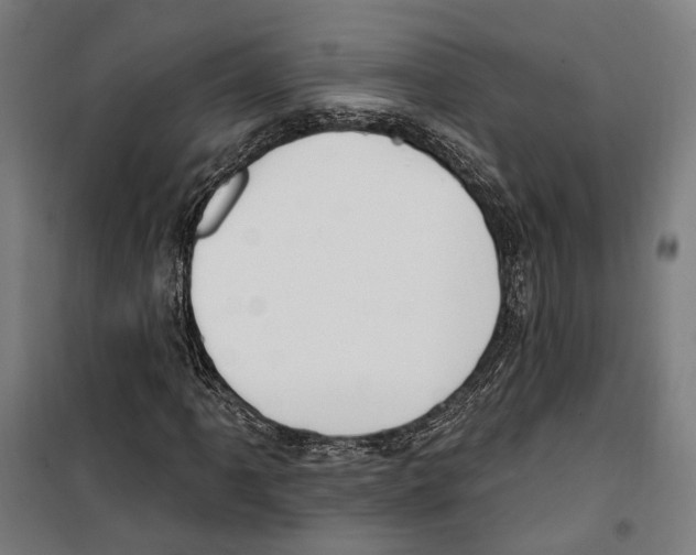 X0000099521061200806121457