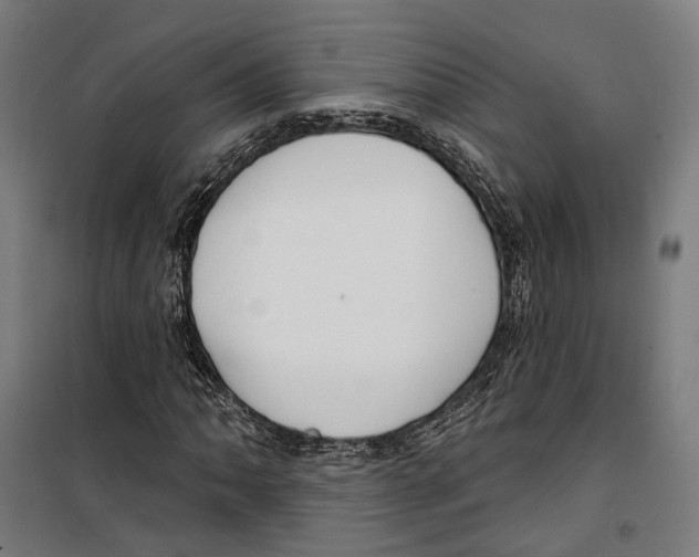 X0000099521062200806121457