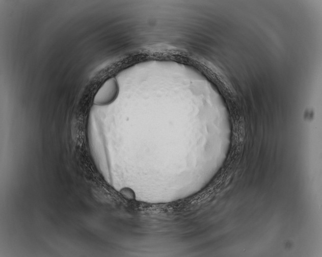 X0000099521063200806121457