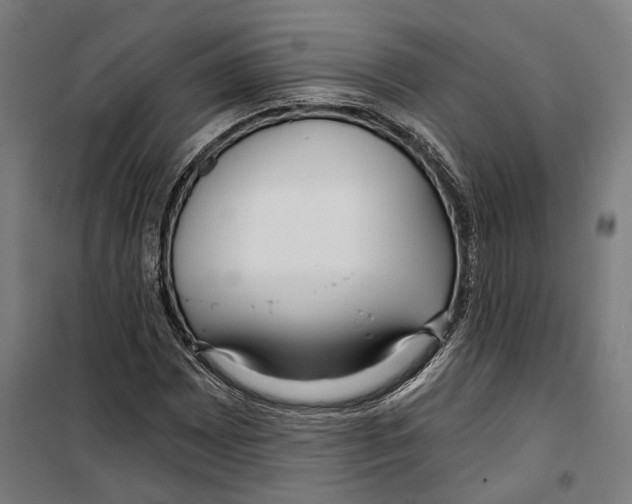 X0000099521065200806121457