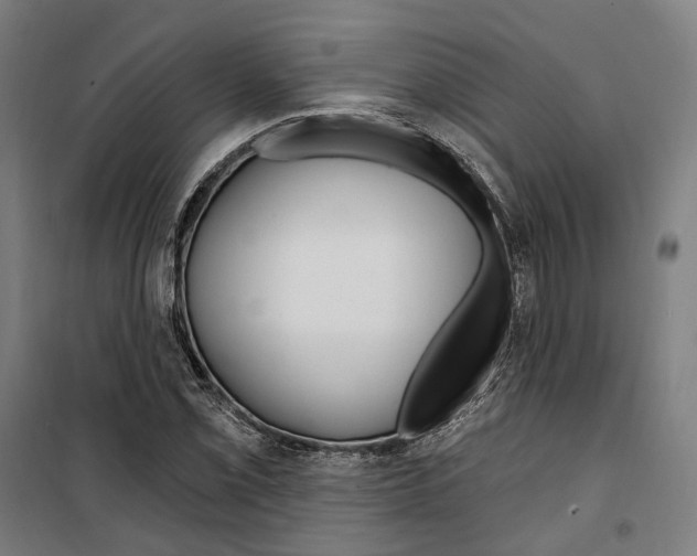 X0000099521069200806121457