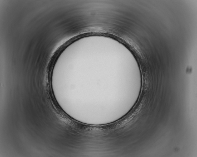 X0000099521070200806121457